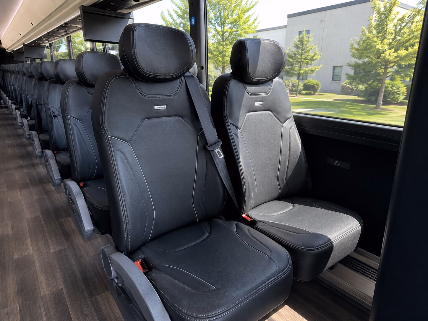 bus rentals to detroit tigers games at comerica park